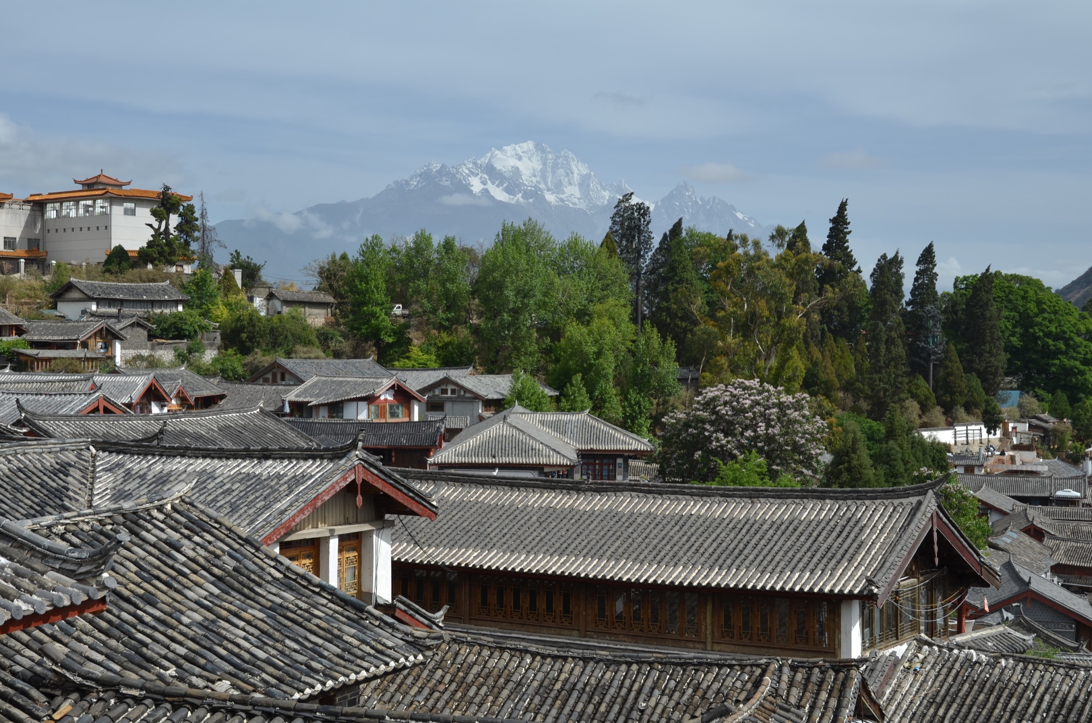 麗江古城與雪山實拍照片