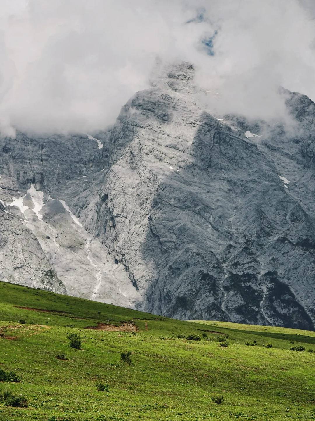 Yulong Snow Mountain meadow