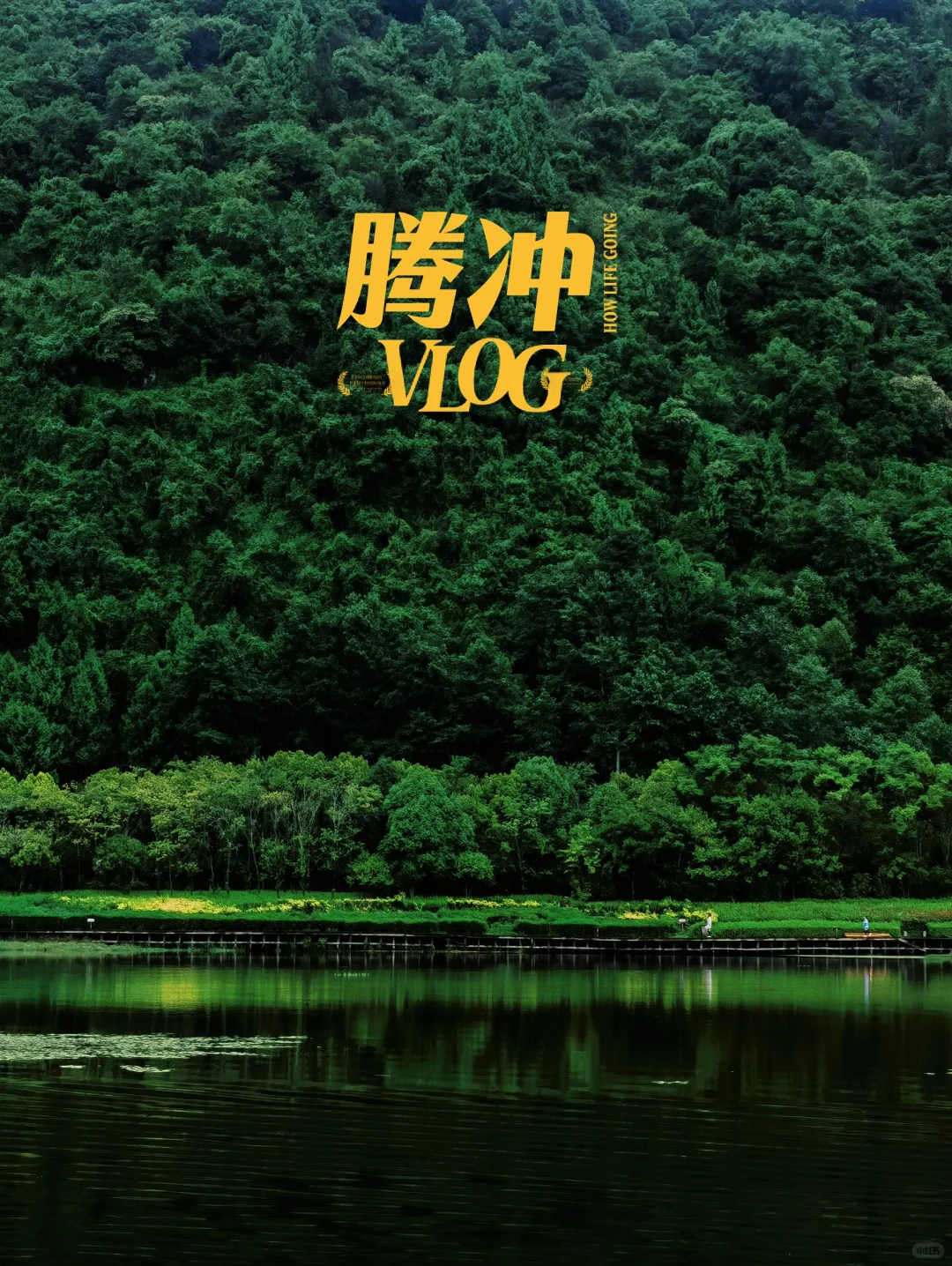 Yunnan snow mountain