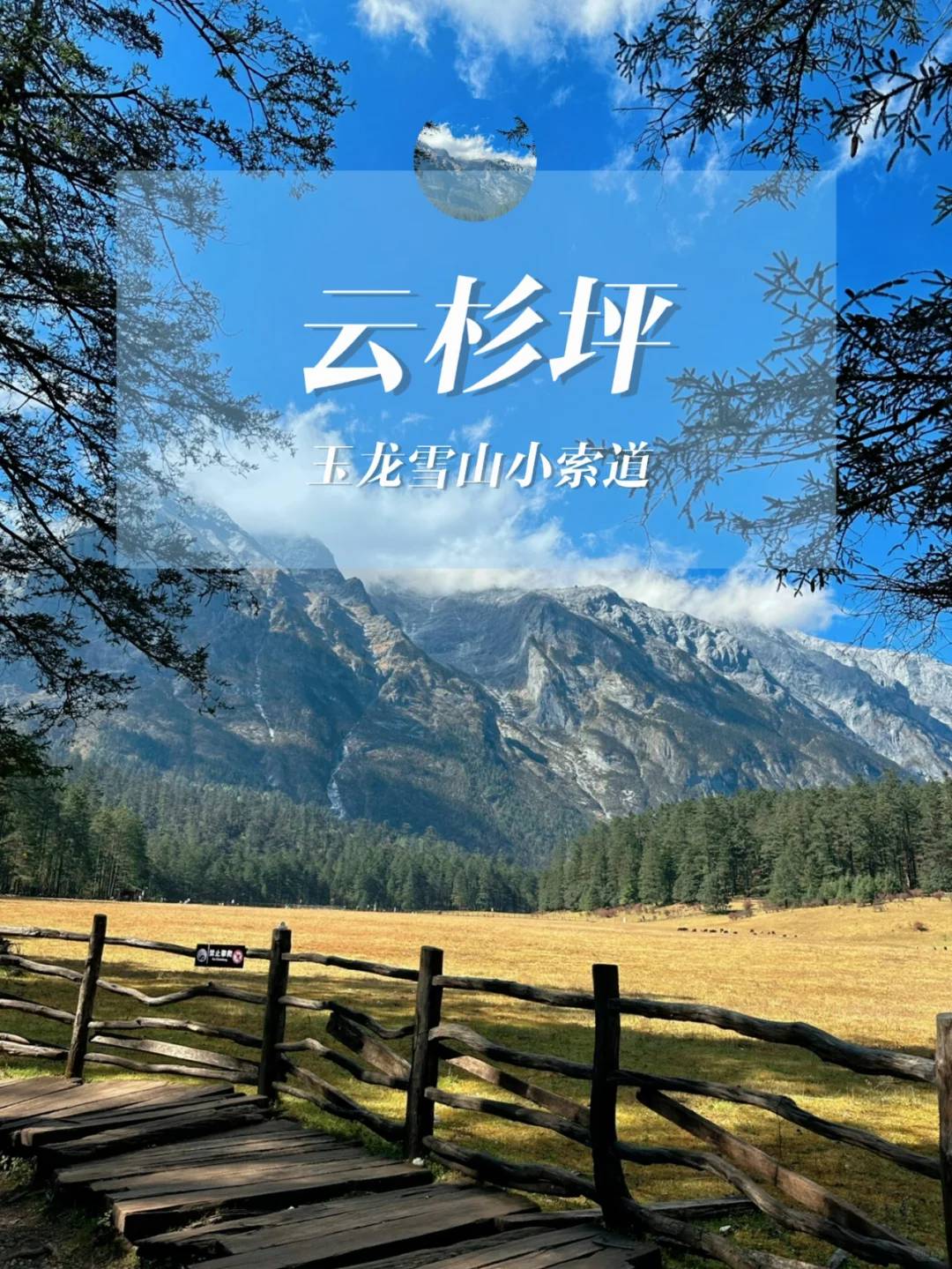 Yulong Snow Mountain meadow